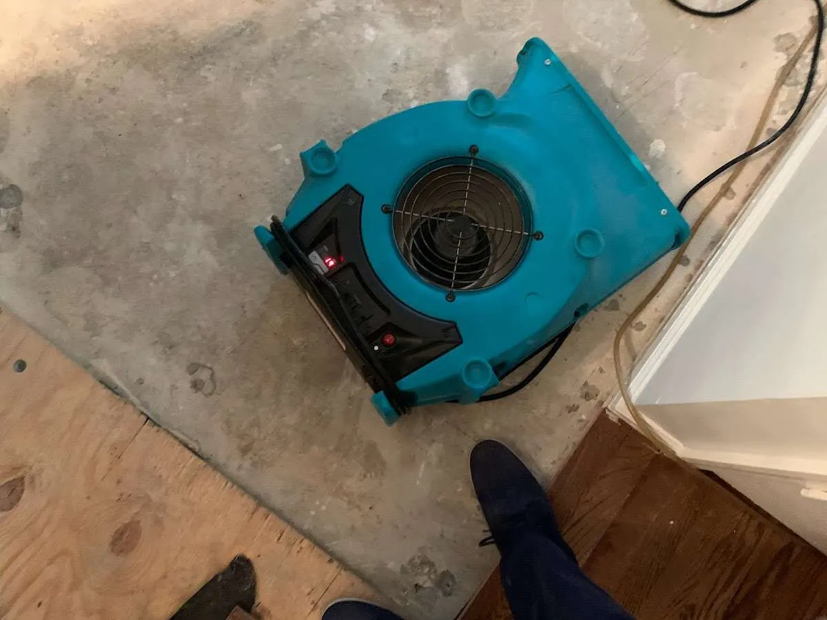 Air mover drying subfloor during Commercial Water Damage Restoration in Wildomar